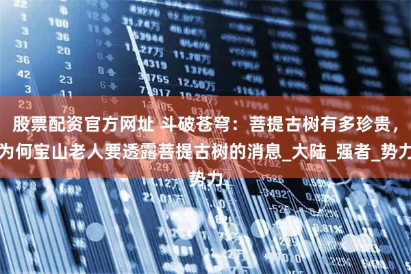 股票配资官方网址 斗破苍穹：菩提古树有多珍贵，为何宝山老人要透露菩提古树的消息_大陆_强者_势力