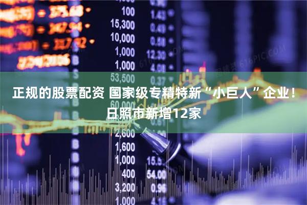 正规的股票配资 国家级专精特新“小巨人”企业！日照市新增12家