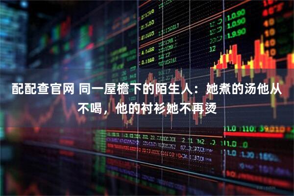 配配查官网 同一屋檐下的陌生人：她煮的汤他从不喝，他的衬衫她不再烫
