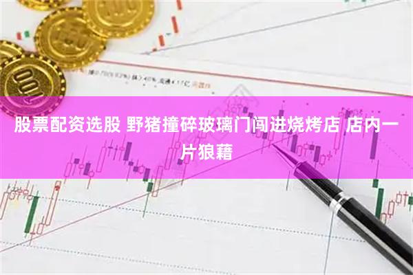 股票配资选股 野猪撞碎玻璃门闯进烧烤店 店内一片狼藉
