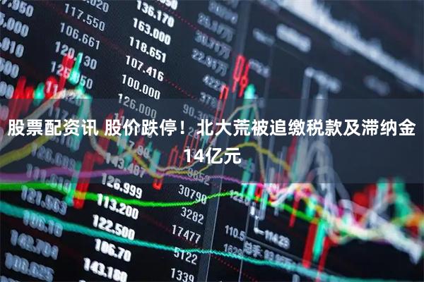 股票配资讯 股价跌停！北大荒被追缴税款及滞纳金14亿元